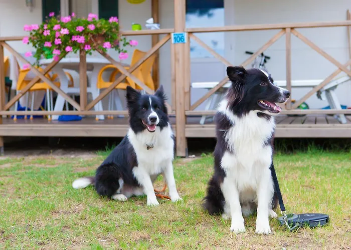 Vela Blu Village Resort 4*